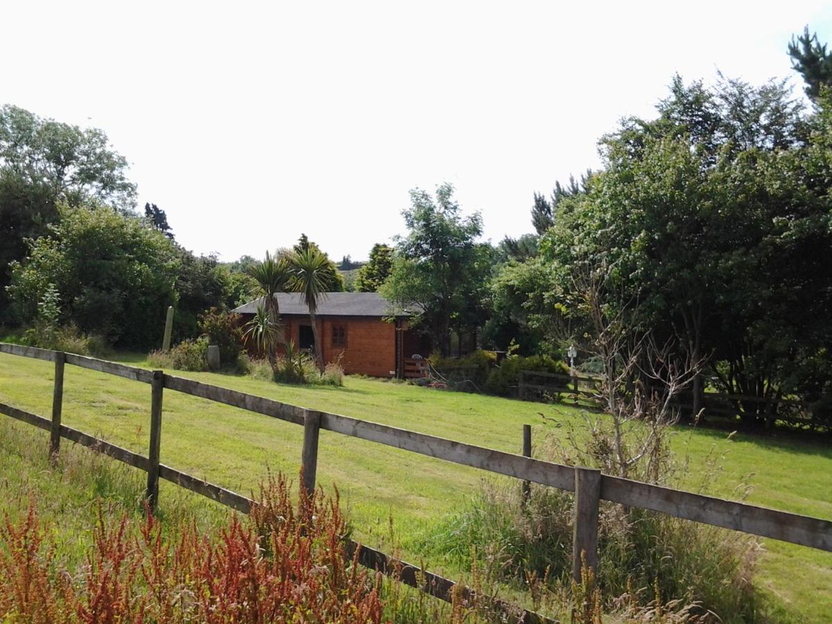 Tudor Lodge With Pool & Bbq Cabin Liskeard Exterior photo